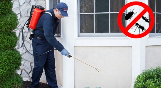 Korkuteli Akrep İlaçlama böcek ilaçlama ve haşere kontrolü — ilaclama-tr.com